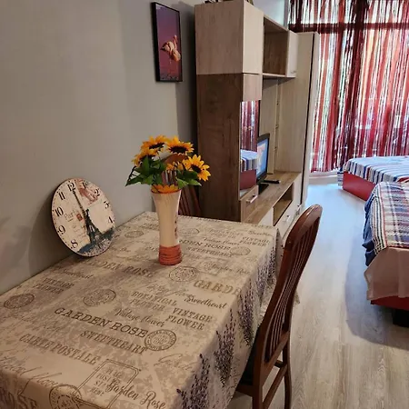 Apartment студио релакс, Aheloy