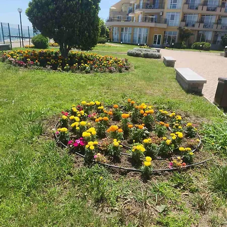 студио релакс, * Aheloy