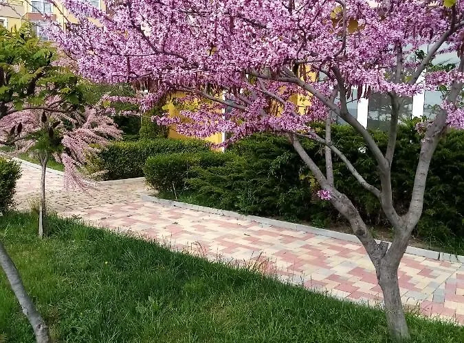 студио релакс,