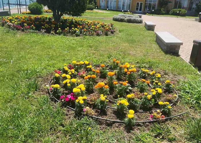 студио релакс, * אהלוי