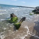 公寓 студио релакс, *