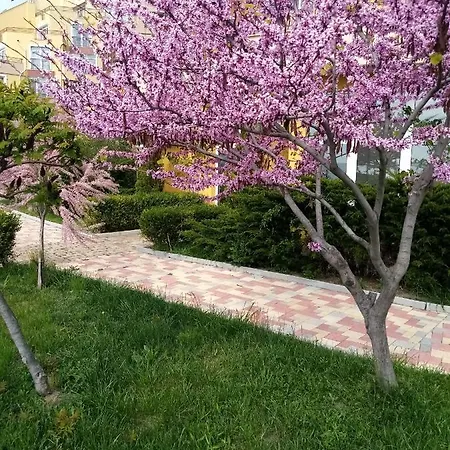 студио релакс,