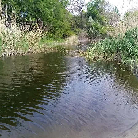 студио релакс,