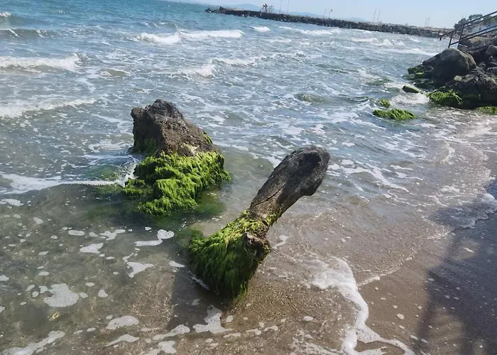 Apartamento студио релакс, *